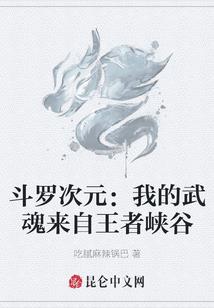 漂亮王爷俏将军