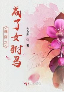 天才摄影师
