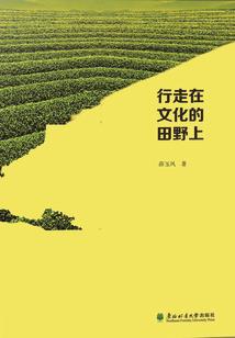 我的超能力是系统