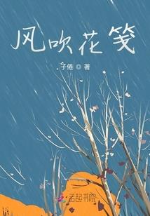 海贼王我是路飞