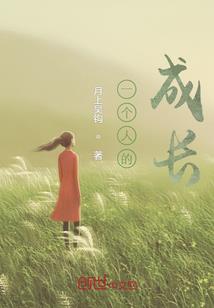 我追婷姐那些年