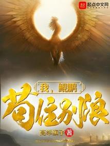 龙珠之我来改变