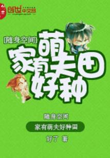 梦渊芯片