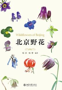 请给我亿点阳光