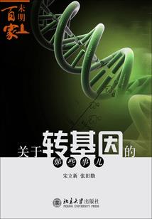 星碎仙路
