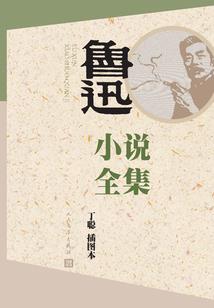 穿越异国之腹黑医圣