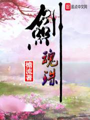 剑影阑珊