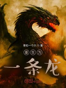 时光城主