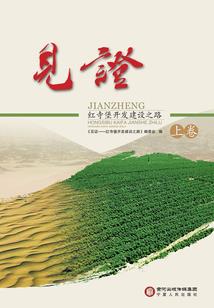 木马的爱
