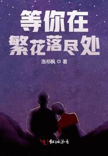 一代战皇之飞帝