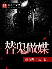 守护者是帕拉丁