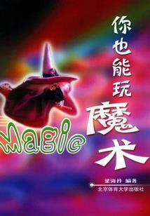 你没有爱过我
