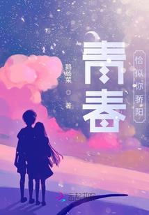 武破圣穹