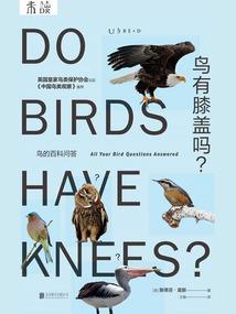 证印