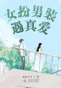 神奇宝贝之月影光辉
