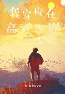 快穿工作之npc日常