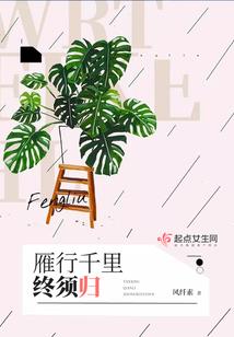 再见晓雅