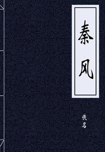 浴血谋生：杀无赦