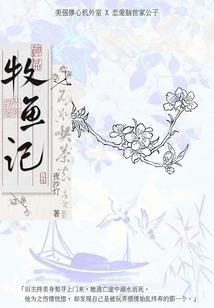 火影魔女传