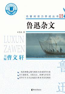 正因为是末世才要幸福的生活