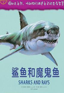 黑色韩娱