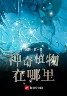 临仙雕龙