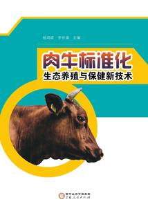 梦游都市