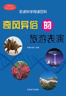 在每一个瞬间凝望你