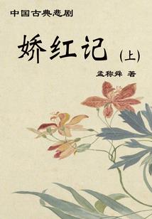 绝世狂婿