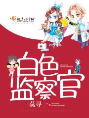 用板砖征服世界