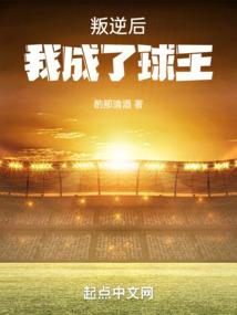 明末国贼
