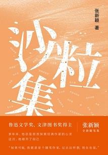 穿梭在银河的师傅