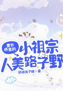 天泪龙凤传奇
