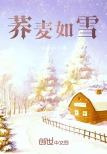 冷面王爷俏王妃