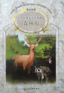 永无战事