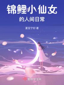 菩提路十六号