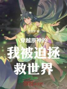 混沌法元界