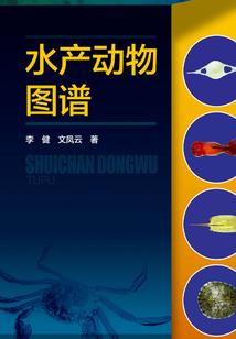 逆鳞奇潭