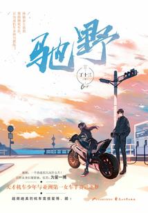 冬日里的一片暖阳