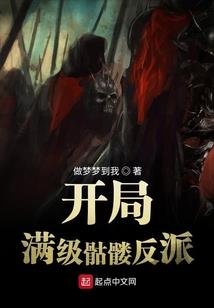 系统之完美计划