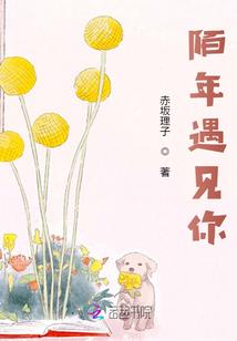 易栀夏遇见他