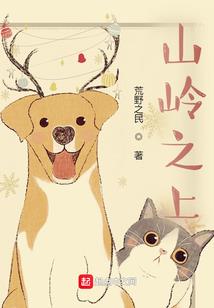 宠物日记