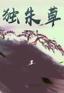 了却因果无是非