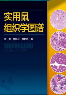 一颗珠子
