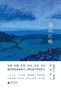 穿越纵横二次元
