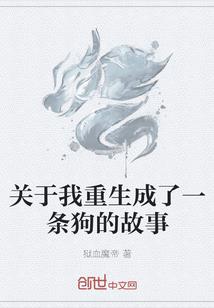 口袋妖怪之从零开始