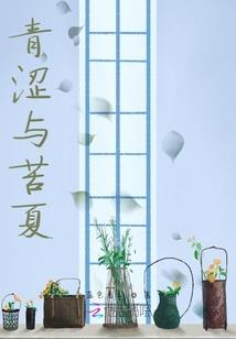 飞来横妃