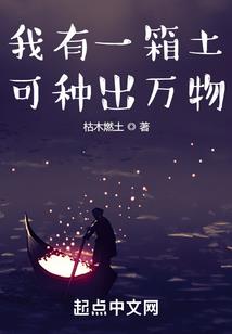 网游之小贼别跑