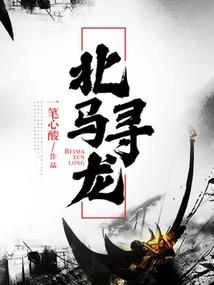 梅舞翩翩之全能王妃