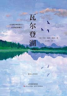 异界之魂圣